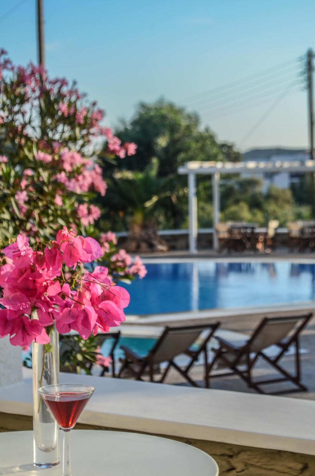 Όλγα Aparthotel Ίος Δωμάτιο φωτογραφία