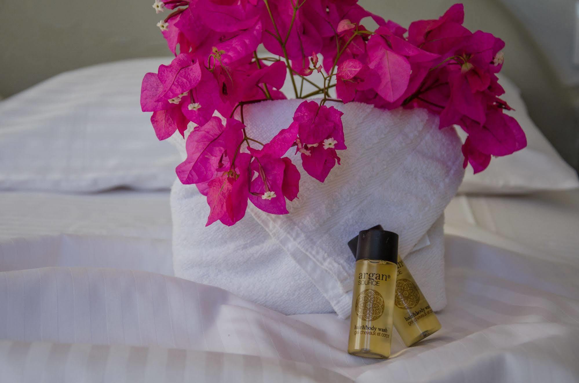 Όλγα Aparthotel Ίος Εξωτερικό φωτογραφία